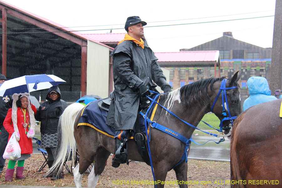 2014-Krewe-of-Zulu-SAPC-11078
