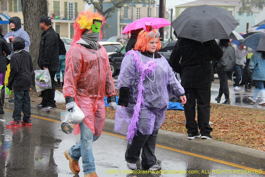 2014-Krewe-of-Zulu-SAPC-11080