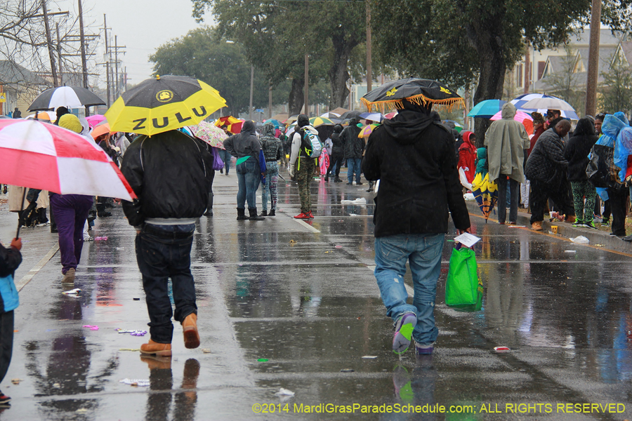 2014-Krewe-of-Zulu-SAPC-11082