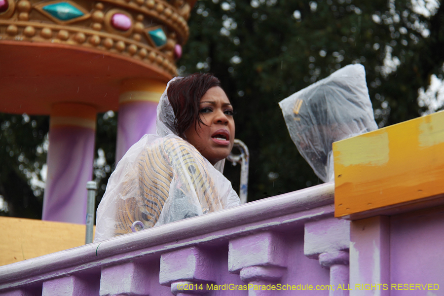 2014-Krewe-of-Zulu-SAPC-11091