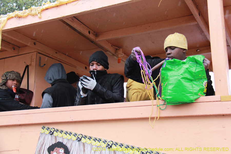 2014-Krewe-of-Zulu-SAPC-11093