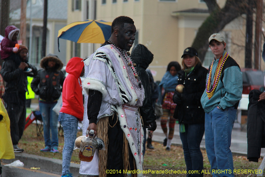 2014-Krewe-of-Zulu-SAPC-11110