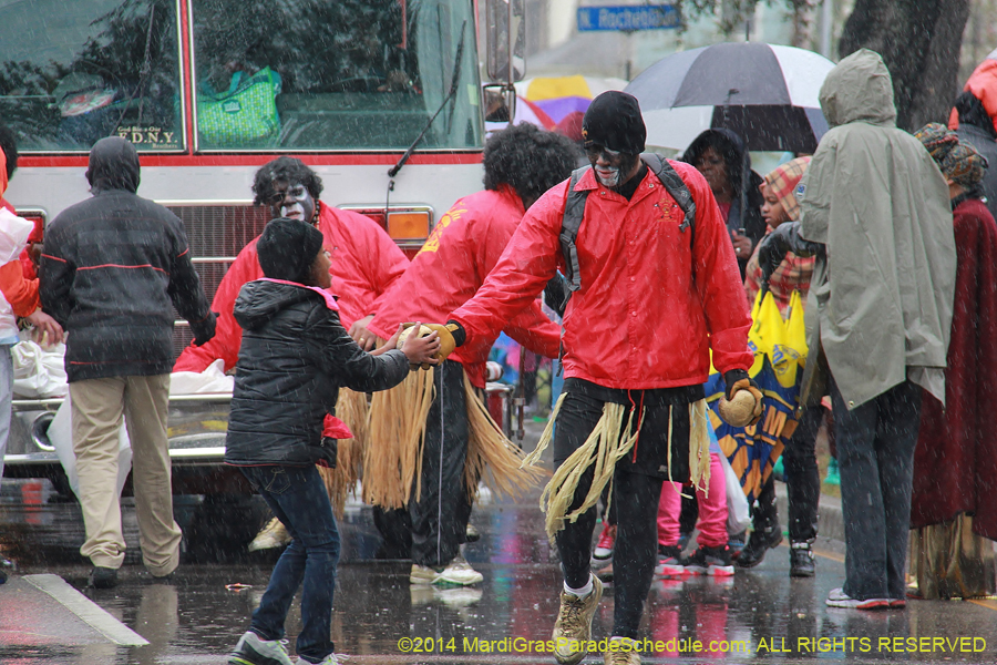 2014-Krewe-of-Zulu-SAPC-11114