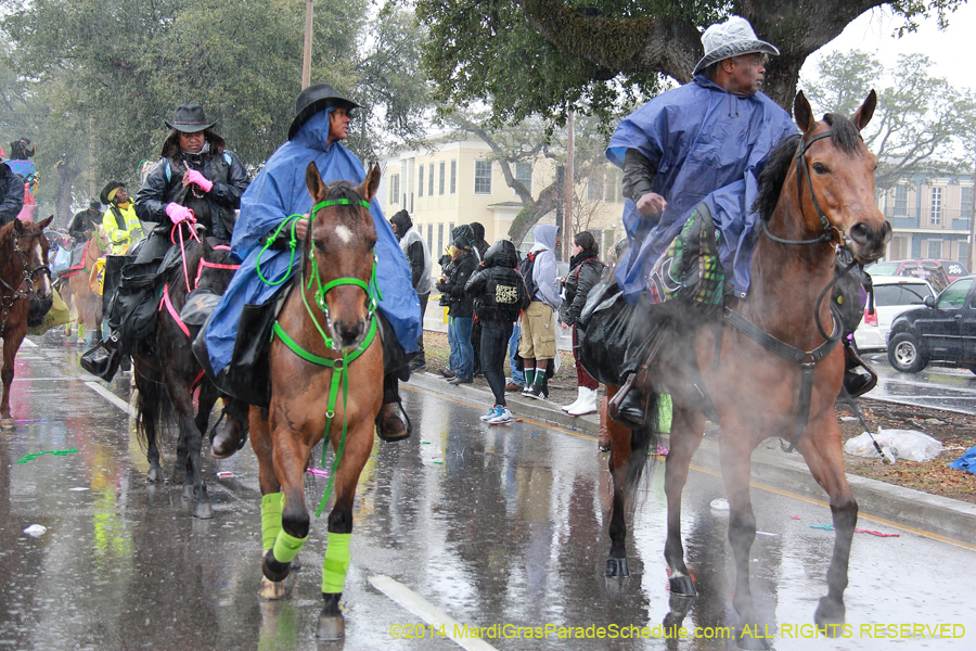 2014-Krewe-of-Zulu-SAPC-11125