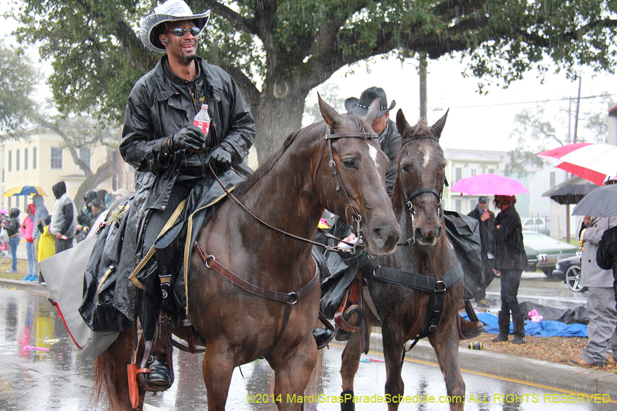 2014-Krewe-of-Zulu-SAPC-11127