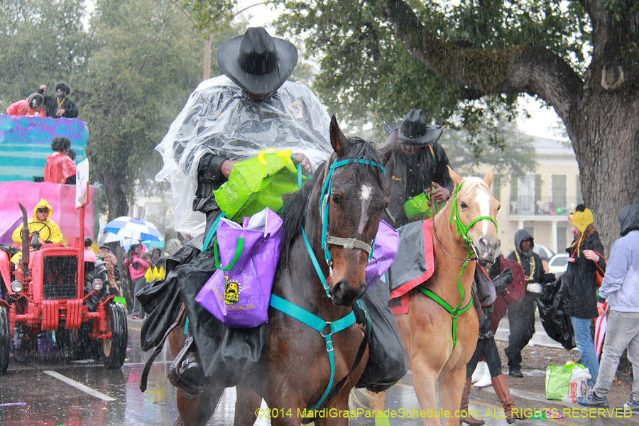 2014-Krewe-of-Zulu-SAPC-11128