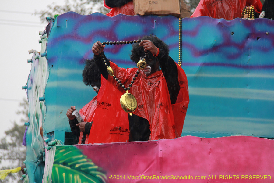 2014-Krewe-of-Zulu-SAPC-11130
