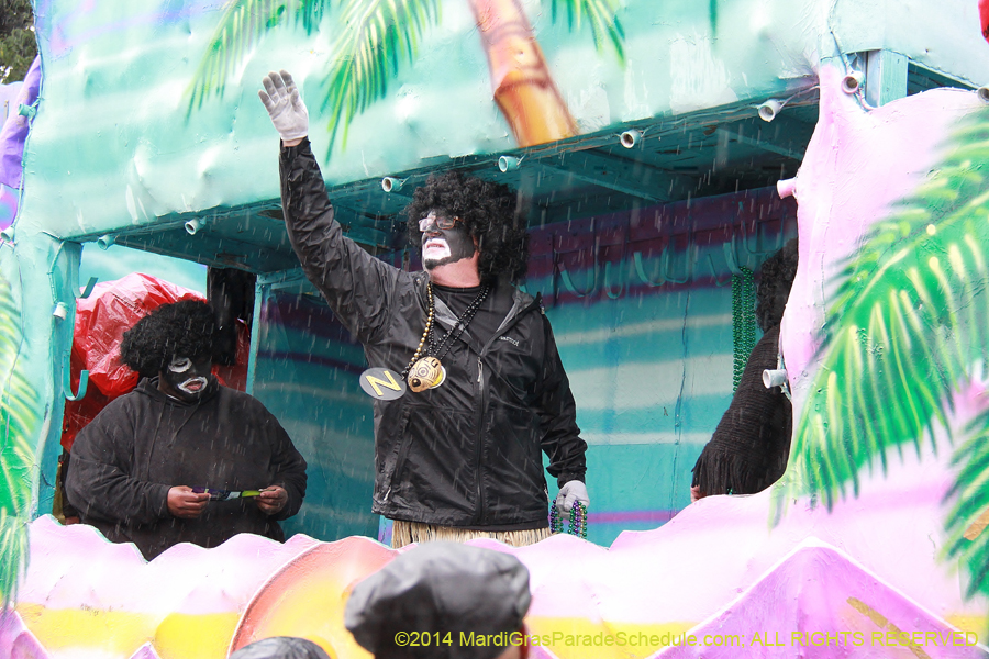 2014-Krewe-of-Zulu-SAPC-11133