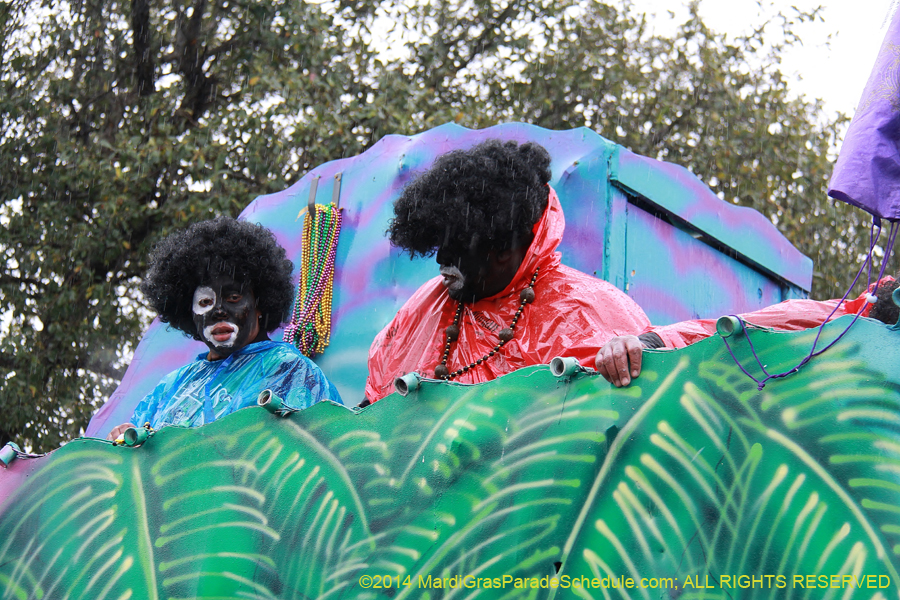 2014-Krewe-of-Zulu-SAPC-11135