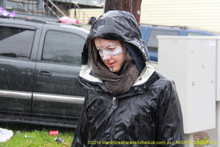 2014-Krewe-of-Zulu-SAPC-11136