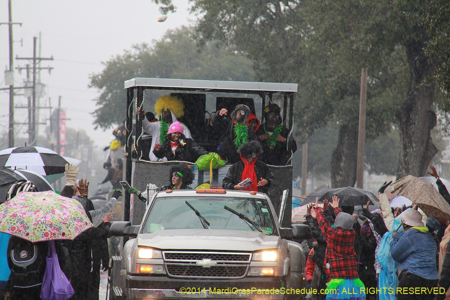 2014-Krewe-of-Zulu-SAPC-11137