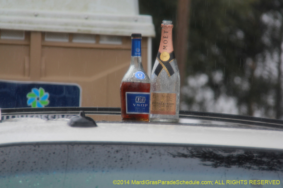 2014-Krewe-of-Zulu-SAPC-11215