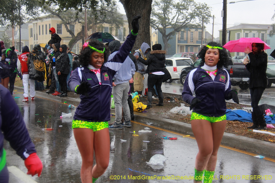 2014-Krewe-of-Zulu-SAPC-11217