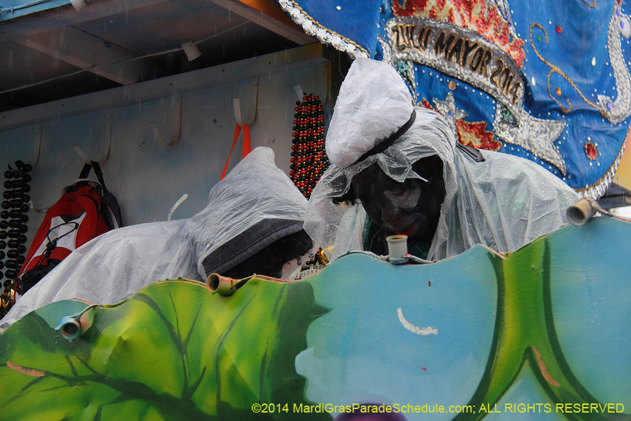 2014-Krewe-of-Zulu-SAPC-11235