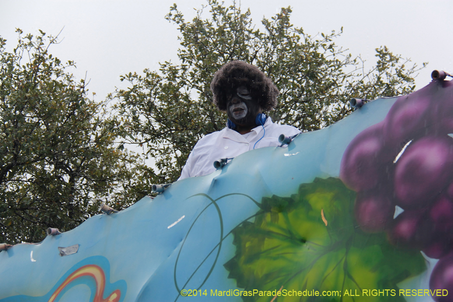 2014-Krewe-of-Zulu-SAPC-11237