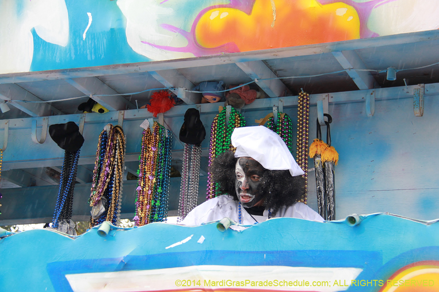 2014-Krewe-of-Zulu-SAPC-11245