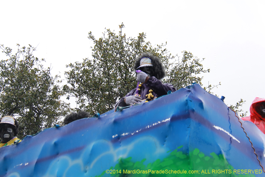 2014-Krewe-of-Zulu-SAPC-11250