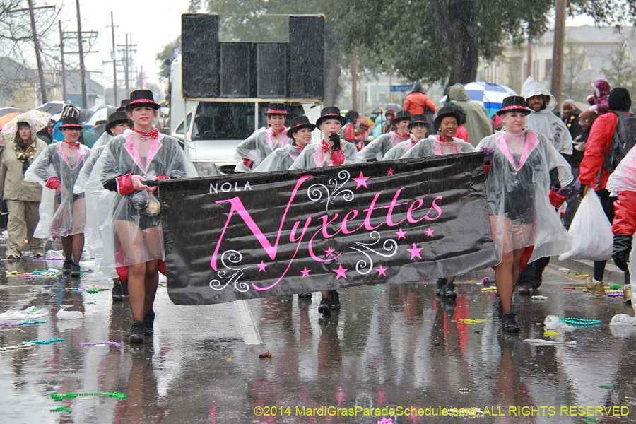 2014-Krewe-of-Zulu-SAPC-11255