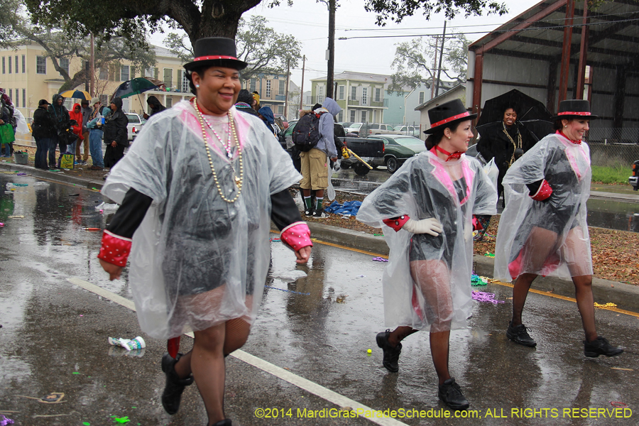 2014-Krewe-of-Zulu-SAPC-11259