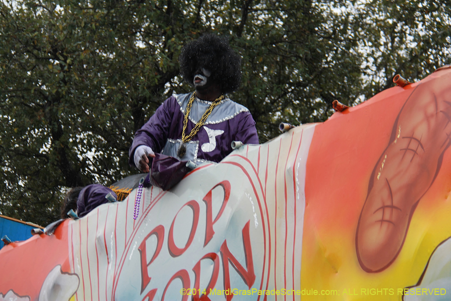 2014-Krewe-of-Zulu-SAPC-11265