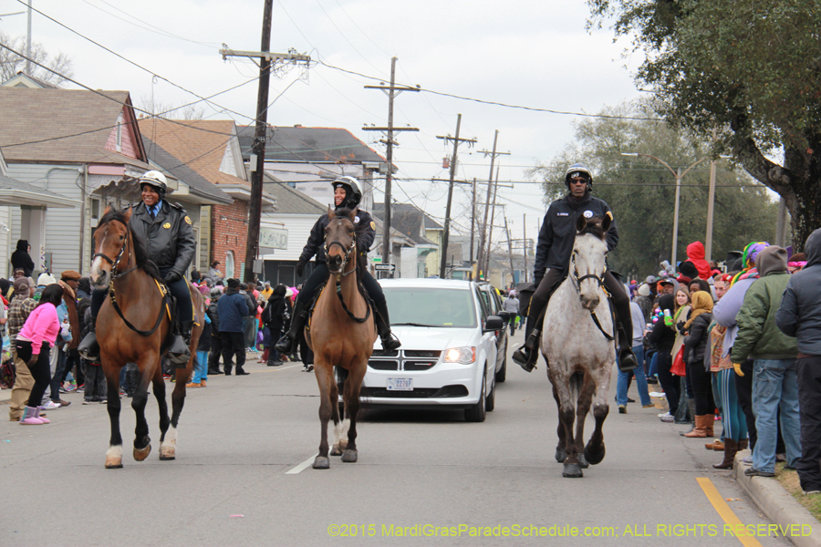 Zulu-Social-Aid-Pleasure-2015-19556