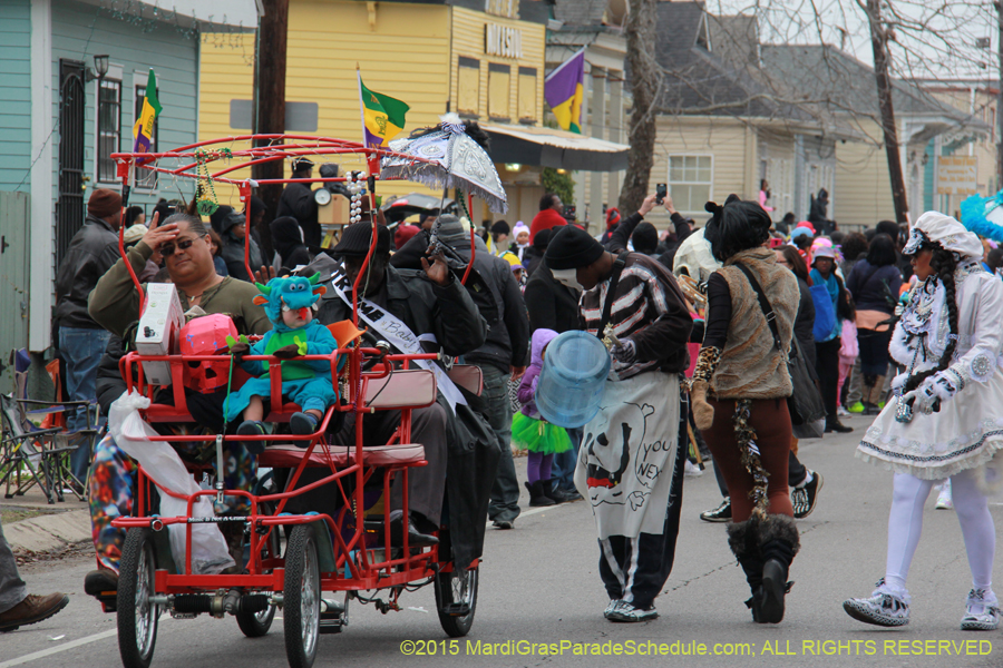 Zulu-Social-Aid-Pleasure-2015-19557