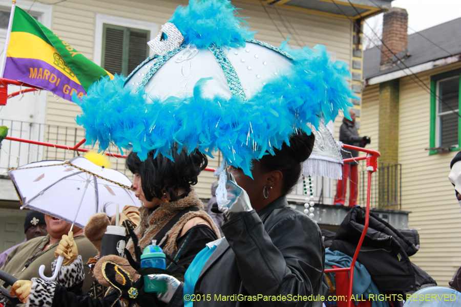 Zulu-Social-Aid-Pleasure-2015-19560