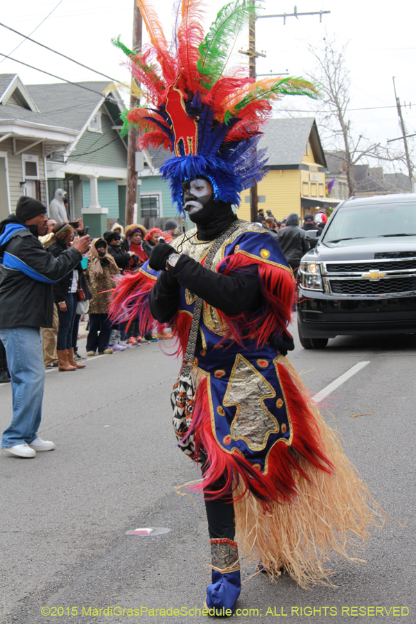 Zulu-Social-Aid-Pleasure-2015-19576