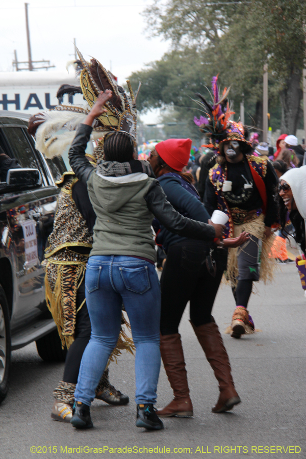 Zulu-Social-Aid-Pleasure-2015-19577