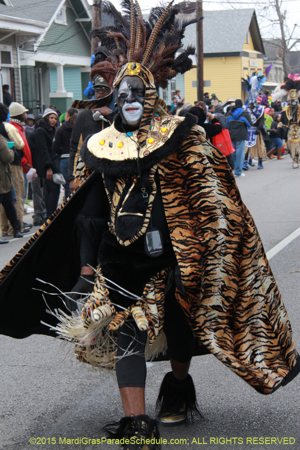 Zulu-Social-Aid-Pleasure-2015-19578