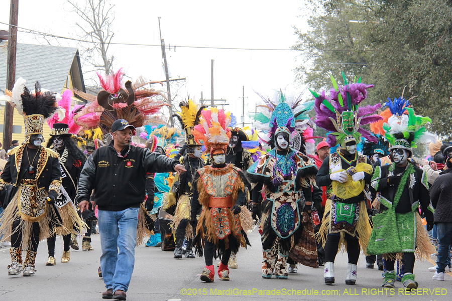 Zulu-Social-Aid-Pleasure-2015-19579