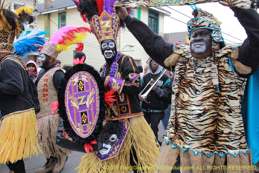 Zulu-Social-Aid-Pleasure-2015-19586