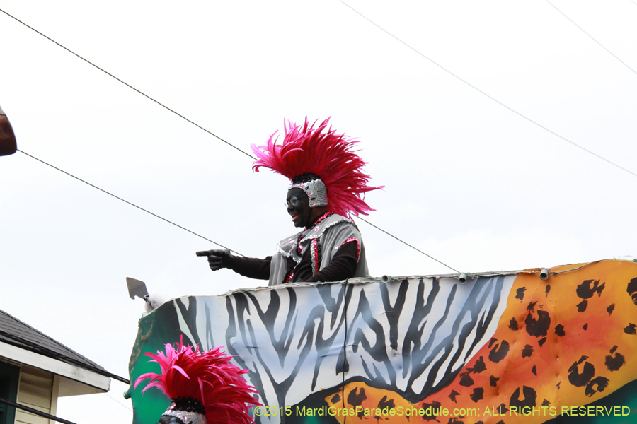 Zulu-Social-Aid-Pleasure-2015-19621