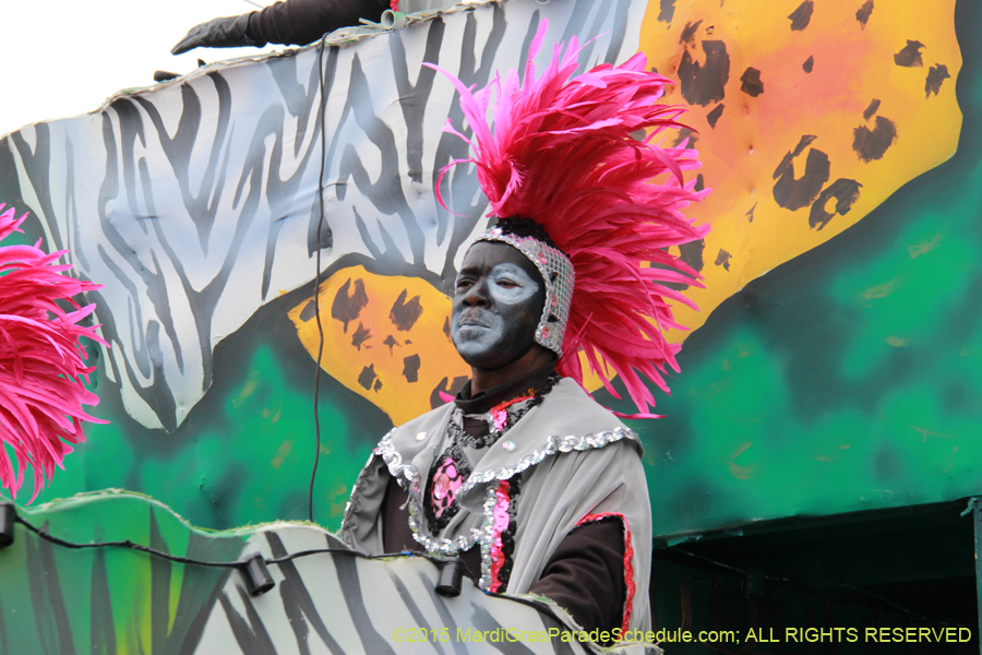 Zulu-Social-Aid-Pleasure-2015-19622