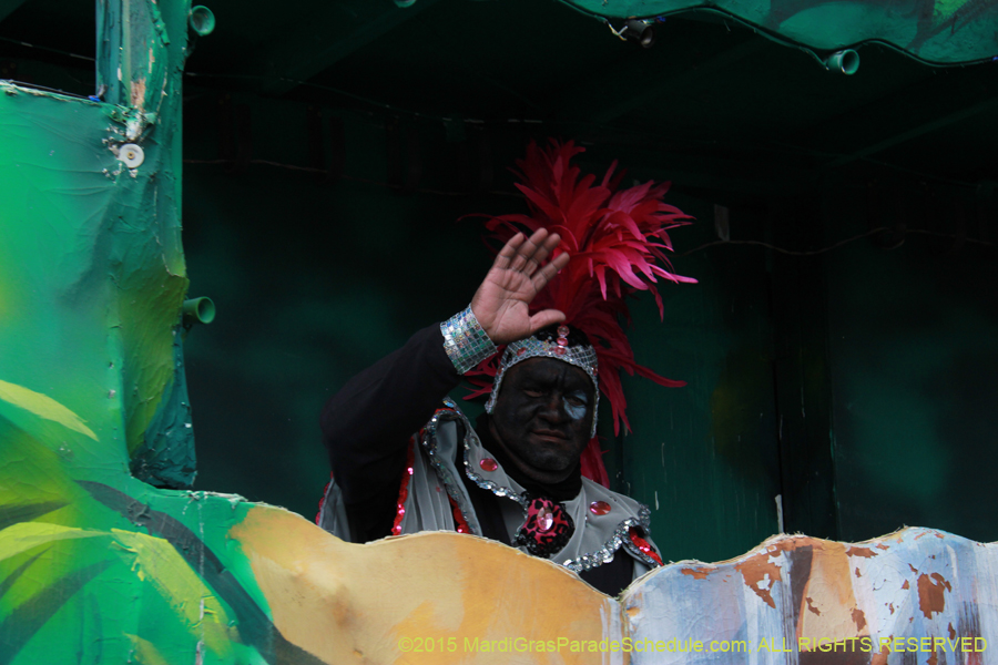 Zulu-Social-Aid-Pleasure-2015-19623