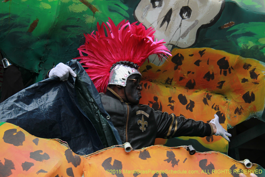 Zulu-Social-Aid-Pleasure-2015-19624