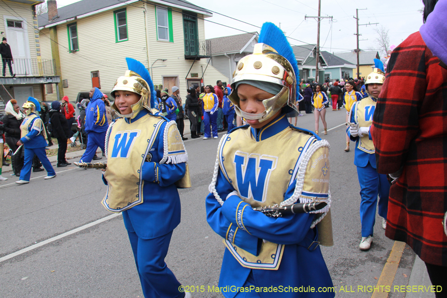 Zulu-Social-Aid-Pleasure-2015-19631