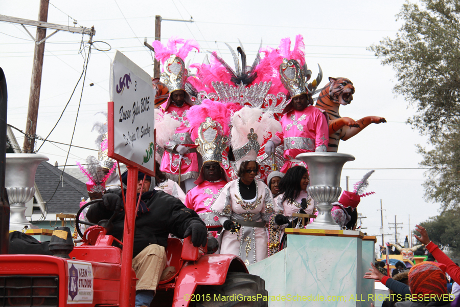 Zulu-Social-Aid-Pleasure-2015-19633