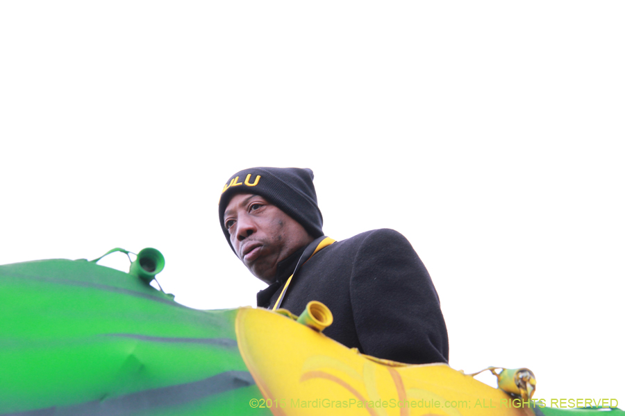 Zulu-Social-Aid-Pleasure-2015-19642