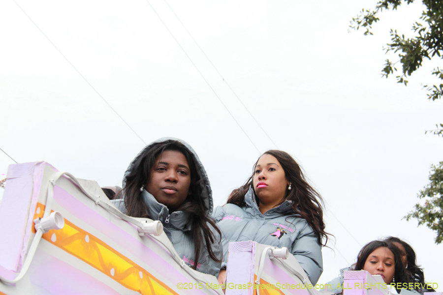 Zulu-Social-Aid-Pleasure-2015-19647