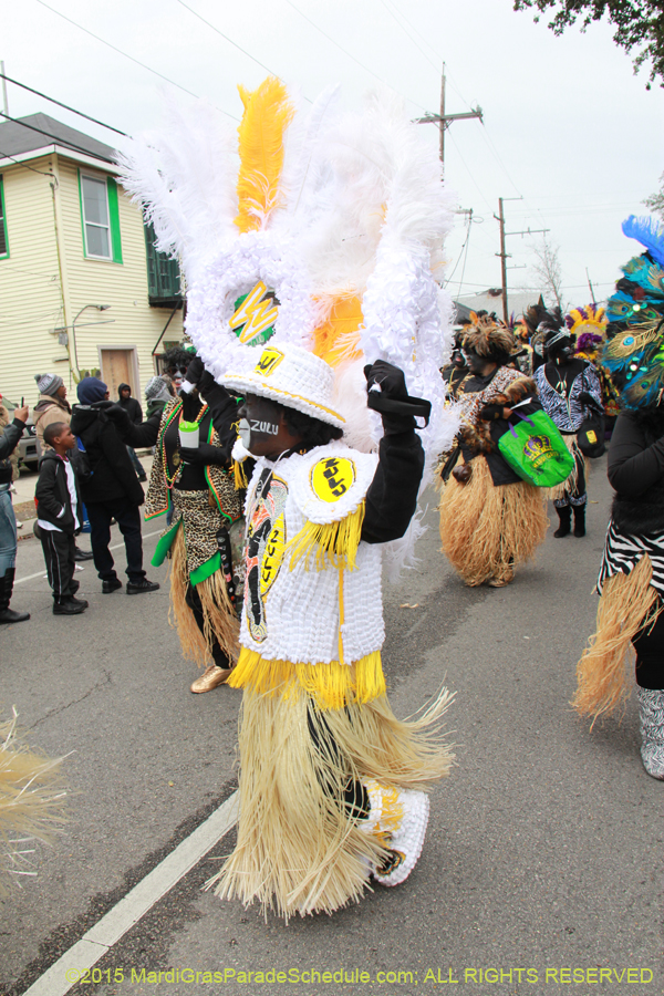 Zulu-Social-Aid-Pleasure-2015-19652