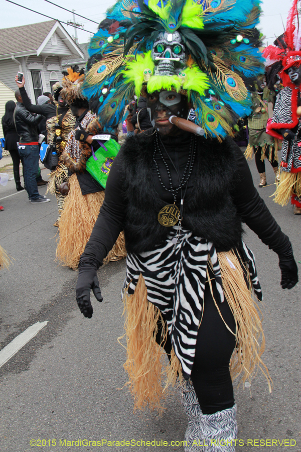 Zulu-Social-Aid-Pleasure-2015-19653