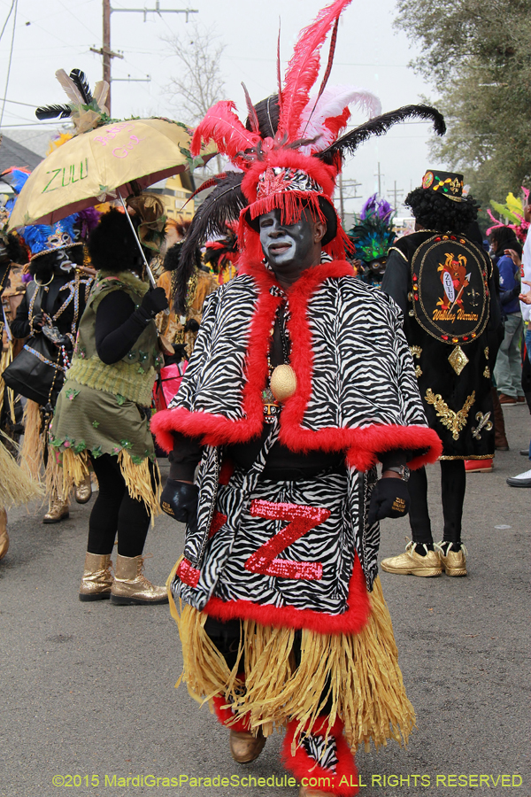 Zulu-Social-Aid-Pleasure-2015-19654