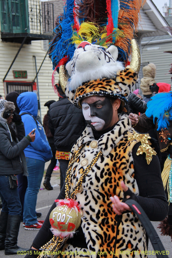 Zulu-Social-Aid-Pleasure-2015-19663