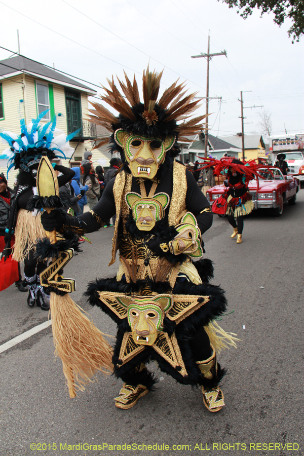 Zulu-Social-Aid-Pleasure-2015-19668