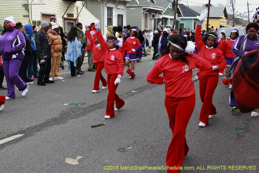 Zulu-Social-Aid-Pleasure-2015-19747