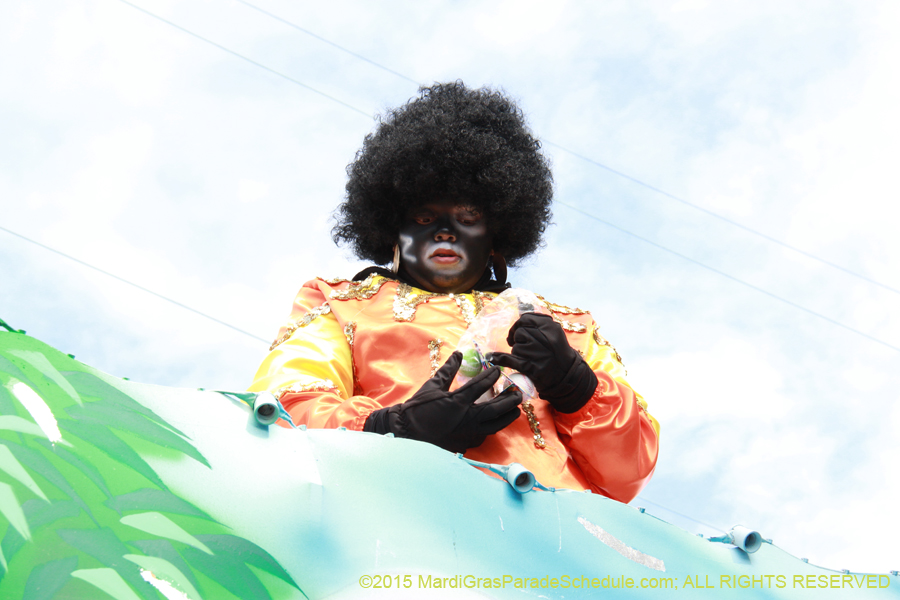 Zulu-Social-Aid-Pleasure-2015-19971