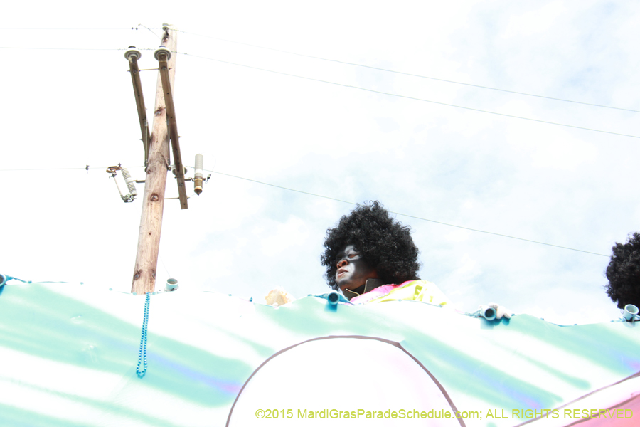 Zulu-Social-Aid-Pleasure-2015-19972