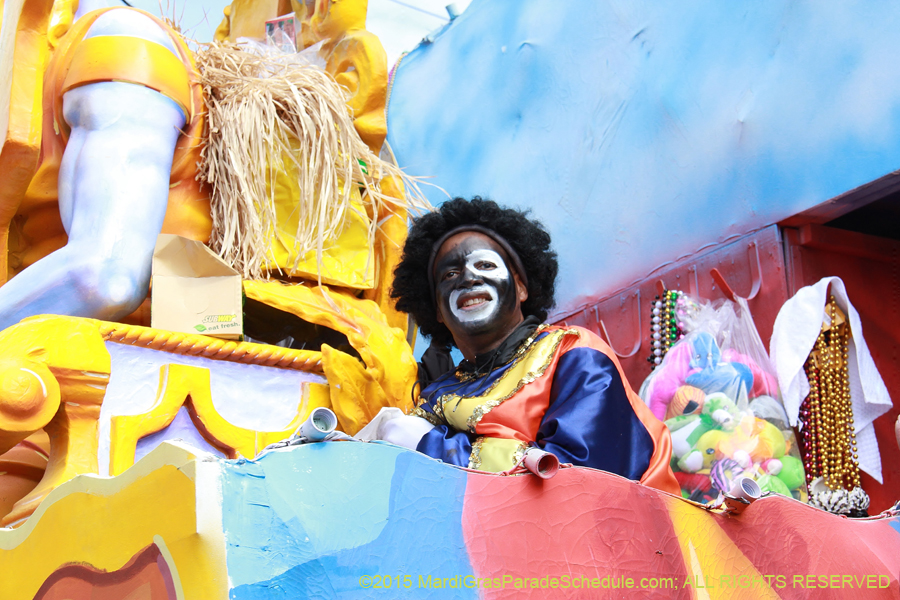 Zulu-Social-Aid-Pleasure-2015-19982