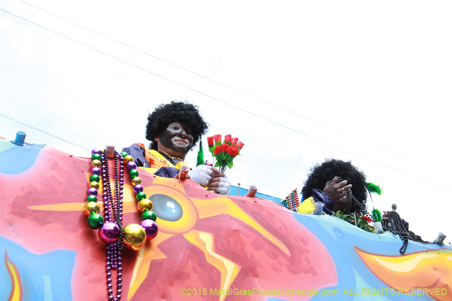 Zulu-Social-Aid-Pleasure-2015-19985